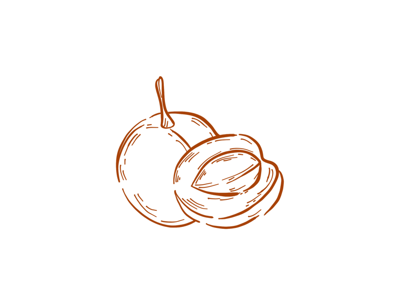 Dried Apricots